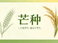 今日芒种｜暴雨+高温，安全勿松弛